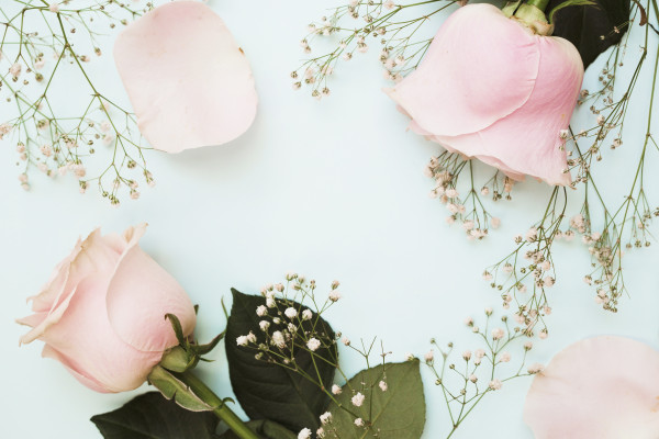 三ノ宮駅前レディースクリニックのイメージとして咲く、 淡いピンクと⽩の美しい薔薇（バラ）の花
